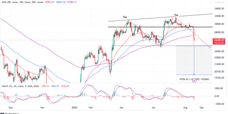 BTC Price Leaves A Bloody Mess, Tests $25k Support
