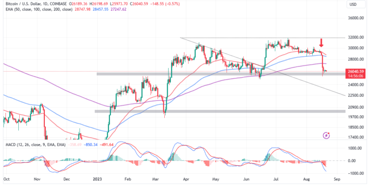 BTC Price Support At $26, The Last Kick Of A Dying Horse?