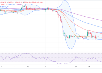 BTC Price Vulnerable To Losses Below $25k, But There’s A Twist 