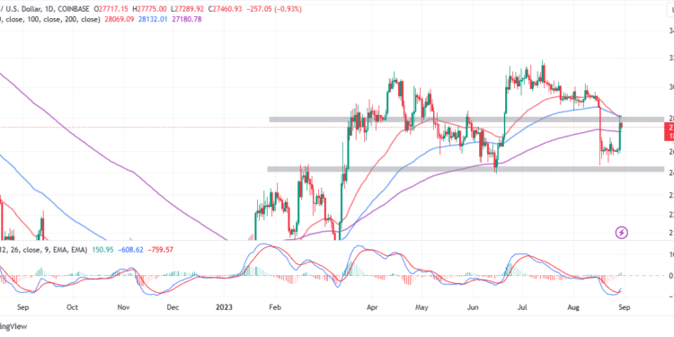 BTC Price Climb To $28k On The Verge Of Losing Momentum