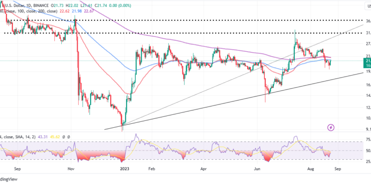 SOL Price Takes Back $20, Can Bulls Push Through To $30