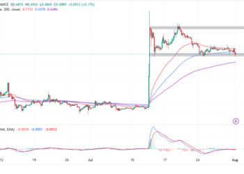 Will XRP Price Gains Come Undone As Federal Court Rejects Ripple Ruling?