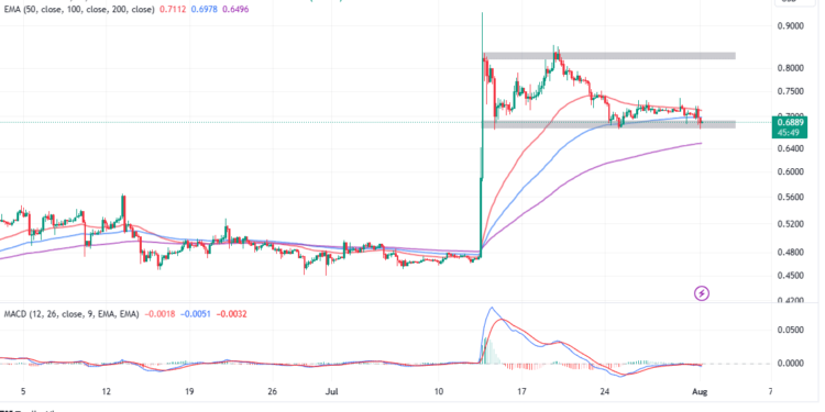 Will XRP Price Gains Come Undone As Federal Court Rejects Ripple Ruling?