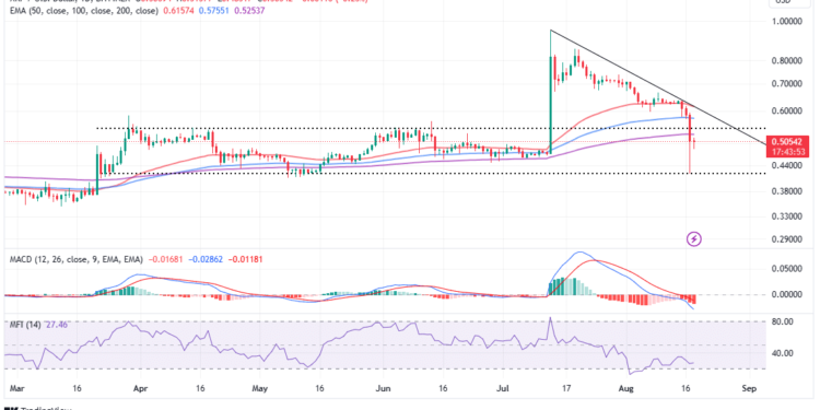 XRP Recovery Imminent Despite 20% Crash 