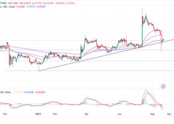 Is XRP In The Process of Validating a Bull Run?