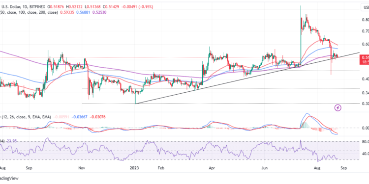 XRP Price Quick Rebound Loses Steam Above $0.5