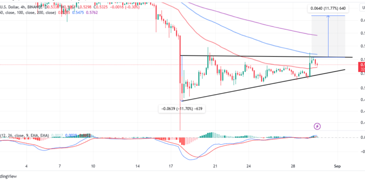 XRP Price Makes Bullish Case for Impending Rally to $1