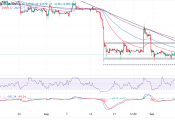 BTC Price On The Move As Bulls Rally For $30,000