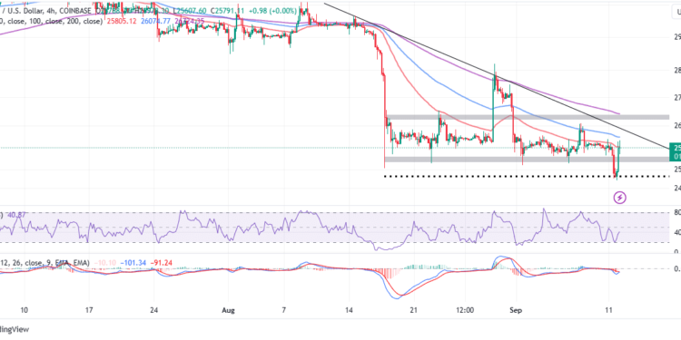 BTC Price On The Move As Bulls Rally For $30,000
