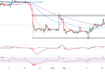 BTC Could Revisit $20k Macro Higher Low