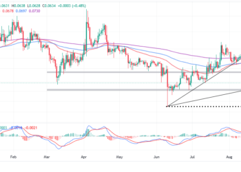 DOGE Price On The Verge Of Skyrocketing To $0.1