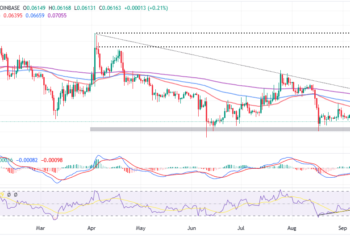 DOGE Bulls Push To Validate Bull Run