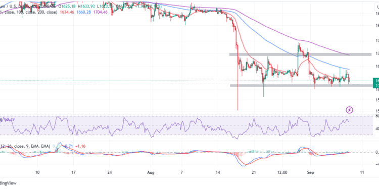 ETH Price Hangs Onto $1,600 Support Bolstered By Large Holders