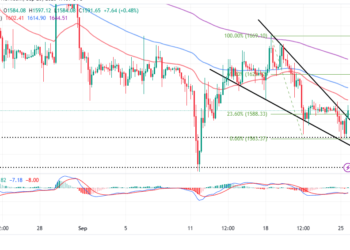Bulls Back In Action Toward $1,600