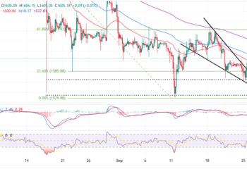 Bulls Hold Firmly Despite ETF News