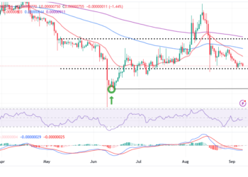 SHIB Price Falls Despite Token Burn Rate Rising 40% In 24 Hours