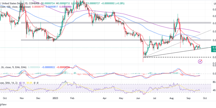 Bulls Set Camp At $0.000007