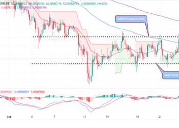 SHIB Back On The Drawing Board