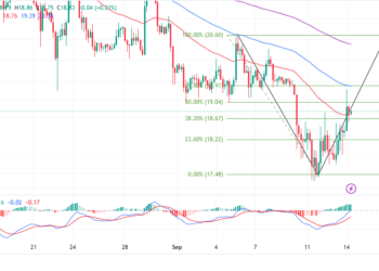 SOL Price Abandons Bearish Calls Steadying Recovery To $20