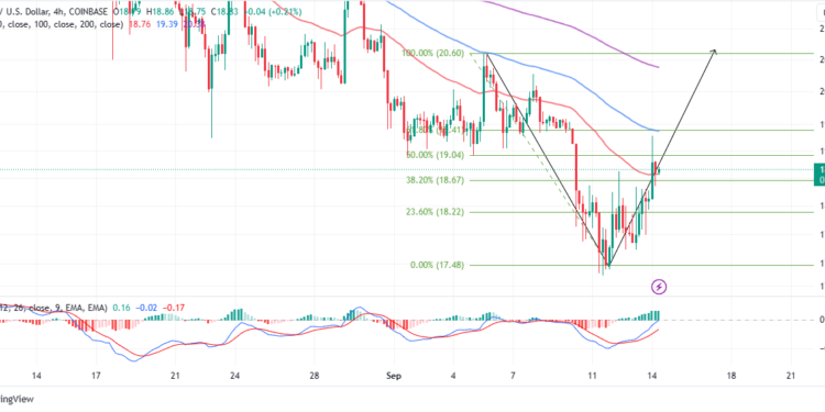 SOL Price Abandons Bearish Calls Steadying Recovery To $20
