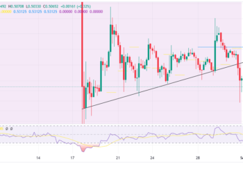 XRP Price Rebounds From $0.5 As Bulls Focus On $1
