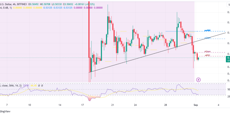 XRP Price Rebounds From $0.5 As Bulls Focus On $1