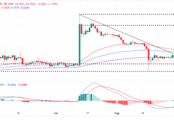 XRP Price Rally Awaits the Proper Party Event In NYC.