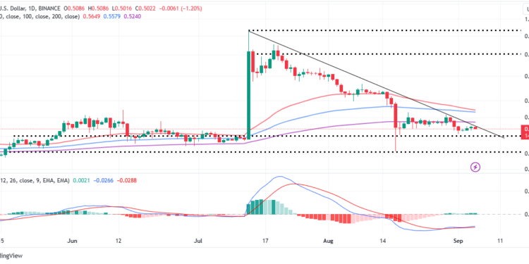 XRP Price Rally Awaits the Proper Party Event In NYC.