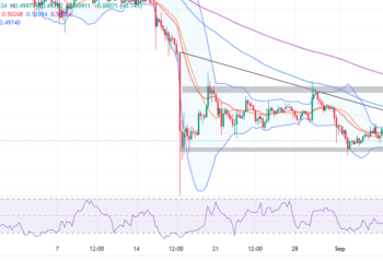 XRP Price Prepares For The Next Breakout, $0.5 Support Holds
