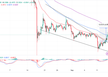 XRP Price Blasts Past $0.5, Investors Prepare For A Proper Party 