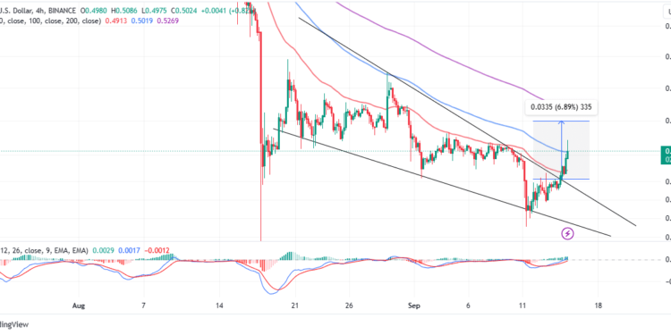XRP Price Blasts Past $0.5, Investors Prepare For A Proper Party 