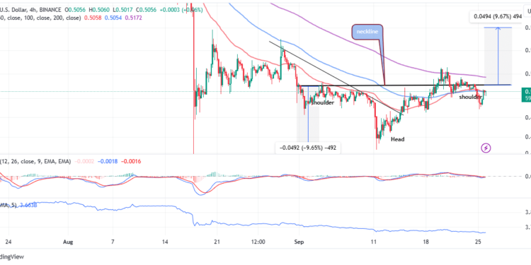 XRP Price Nurtures Possible H&S Pattern Breakout