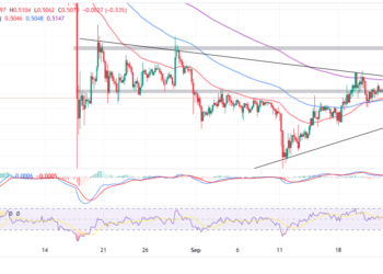 Investors Anxious For Ripple’s Party
