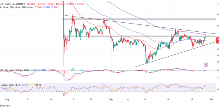 Investors Anxious For Ripple’s Party