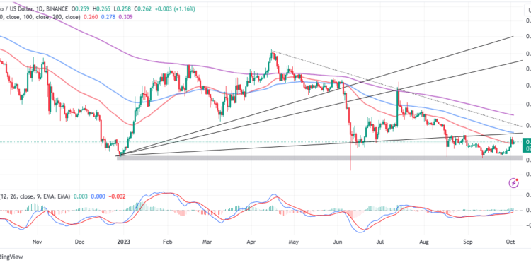 ADA Holds The 50-day EMA Support
