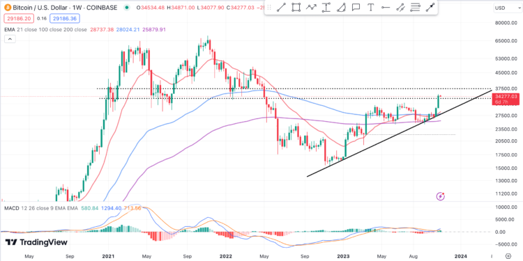 BTC Eyes ETF and Halving Rallies 