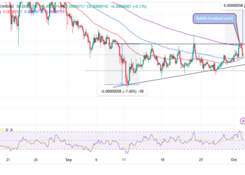 Shiba Inu Price Prediction: SHIB Rejected From $0.00000757