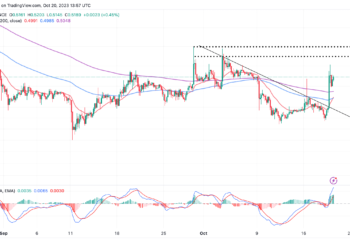 XRP On The Move To $1