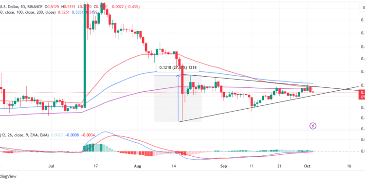 XRP Price Eyes Triangle Breakout