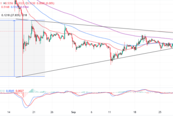 XRP Bulls Keep The Uptrend Going