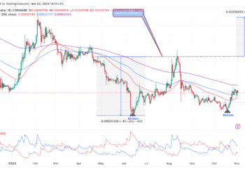 Shiba Inu Price Prediction As Whales Move Millions Of Dollars In SHIB, Will Meme Coin Rally Or Fall?