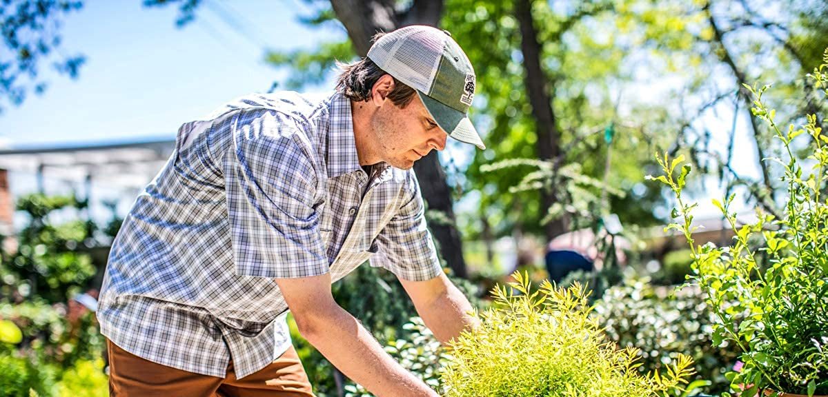 Dickies Prime Day men's clothing sale