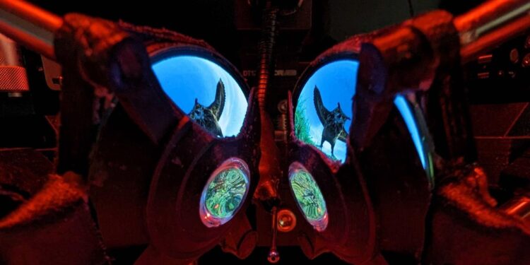 Researchers Made VR Goggles for Mice to Study How Memory Works