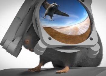 VR headsets for mice could lead to breakthroughs for humans