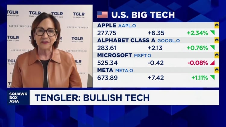 Big tech earnings tell you 'these are the companies you want to own': Tech investor
